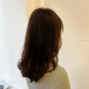 Sun헤어샵 | 분당염색 잘하는 아이엠헤어 수내점