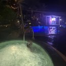 호텔CC | 제주도 2박3일 여행 1일차 코스 | 롯데호텔, 오라CC 벚꽃, 라세느 후기