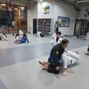 팀 매드 이미지