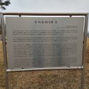 강지선생묘 이미지