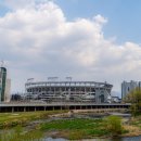 광주천우안자전거도로 | 광주 벚꽃 숨은 명소 챔필 앞 광주천에서 발견
