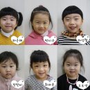 도원유치원 Daum카페