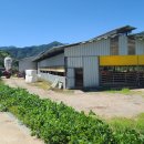 대바위농장 이미지