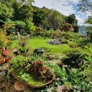 순천-15호 이미지