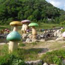 두타연이목정관광안내소 이미지