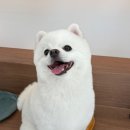 허그멍 이미지