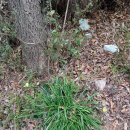 영규농장 이미지