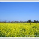 혼저옵서예 이미지