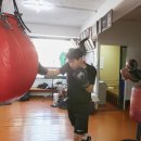 중화 권투체육관 이미지