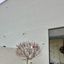 [청주 서원구] 초대형 청주 베이커리 신상카페 “폴라그란데”