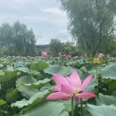 궁남지 서문주차장 이미지