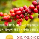 네츄럴팩토리 이미지