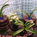 노두농장 이미지