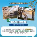 반도세탁소 | 포항 한달살기, 현지인이 진짜 추천하는 숙소 동네 워케이션 팁