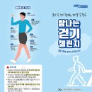 탐나는전 제주매일
