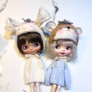 지니돌스 이미지