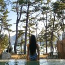 웰컴스테이(거제한화오션점) | 거제도 프라이빗한 풀빌라 오션뷰 W181오션스테이