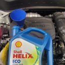셀토스 쉘 힐릭스 ECO 엔진오일 교체 후기