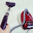 냥앤도그 이미지