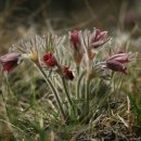 (주)유하 이미지