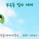 지평부동산공인중개사사무소 이미지