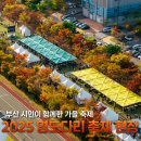 도개식영도대교 기념 | 부산 시민이 함께한 가을 축제 | 2025 영도다리 축제 현장 후기
