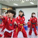 곡정초교 | 권선동태권도 태풍 태권도에서 즐거운 마음근육 키우기
