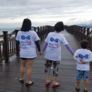 돌머리(석두)어촌체험휴양마을 이미지