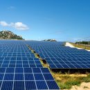정부 지원 반덤핑 관세에 태양광 산업 재기 가능성 꿈틀 기사 이미지