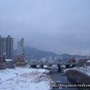 삼학 이미지