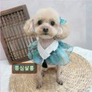 몽심살롱 이미지