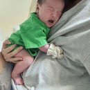자라다자라난다 배냇저고리 바디슈트 4개 사버린 내돈내산 후기