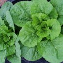 도암농장 이미지