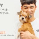 포인핸드 건강검진센터 이미지