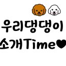 애견카페,애견유치원 멍선생 이미지