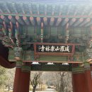 익산중앙의원 | 찰진재 익산 숭림사 ( 살아 꿈틀되는 용을 볼 수 있는 곳)