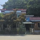 목도민물고기 네이버블로그