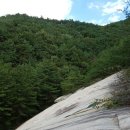 봉산면001 Daum카페