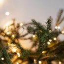 이지케어 이미지