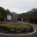 경포대주차장 이미지