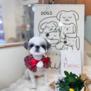 부띠끄멍 이미지