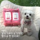 프로덴트카 | 발닦기부터 눈가까지 한 장으로! 허레이 에센셜 강아지 물티슈 후기