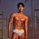 진인터내셔널 이미지