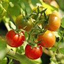 양산농장 이미지