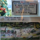 계곡에풍덩펜션캠핑장 이미지