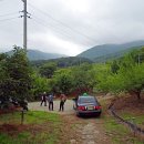 상지목장 이미지