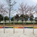 군동초등학교 이미지