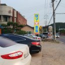 김복희대구왕뽈찜경주 이미지