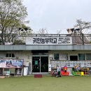 평화오르골 이미지