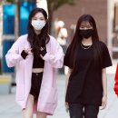 지젤